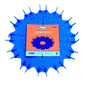 Finned Disc