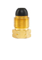 Gas Regulator 11161
